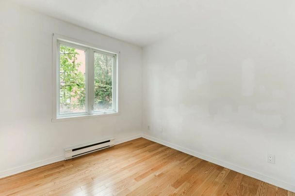 315 Rue Villeneuve E., app.104, Le Plateau-Mont-Royal (Montréal) - Photo 1