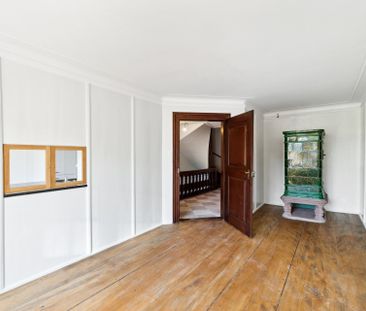 Mit Liebe renovierte Stadtwohnung im Zentrum von Basel - Photo 2