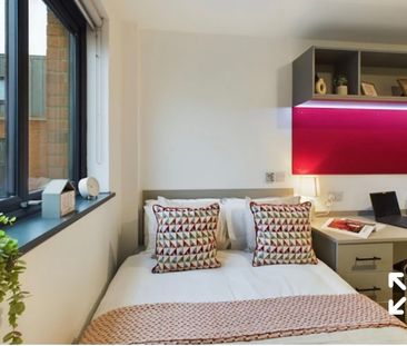 Room in a Shared Flat, Fletchamstead Highway, CV4 - Photo 2