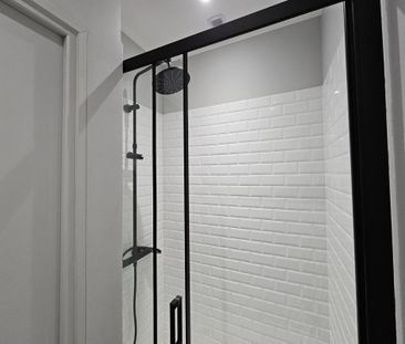 Location Appartement 1 pièce Meublé 18m² TOULOUSE 31300 - Photo 4