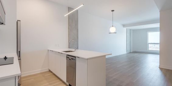 Lynk L1111 - Photo 3