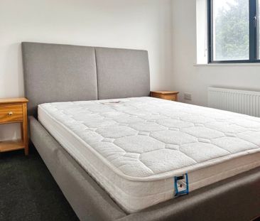 Sir Harry Secombe Court, SWANSEA - Photo 6