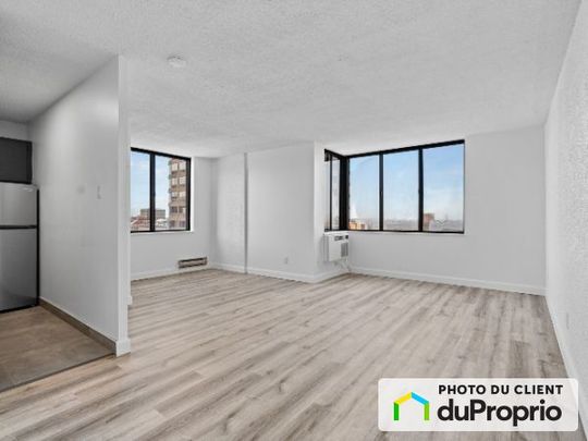 350 Rue Prince Arthur Ouest - LaCité, Le Plateau-Mont-Royal à louer - Photo 1