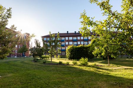 Ljuragatan 5 - Photo 4