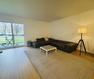OSEN Appartement 4 ½ à Louer Sainte-Foy / Sillery Juillet 2026 - Photo 1