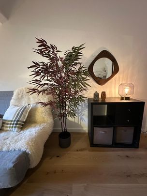 Location Appartement 1 pièce 24m² NANTES 44000 - Photo 1