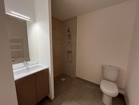 Location Appartement 2 pièces 45m² ST JORY 31790 - Photo 5