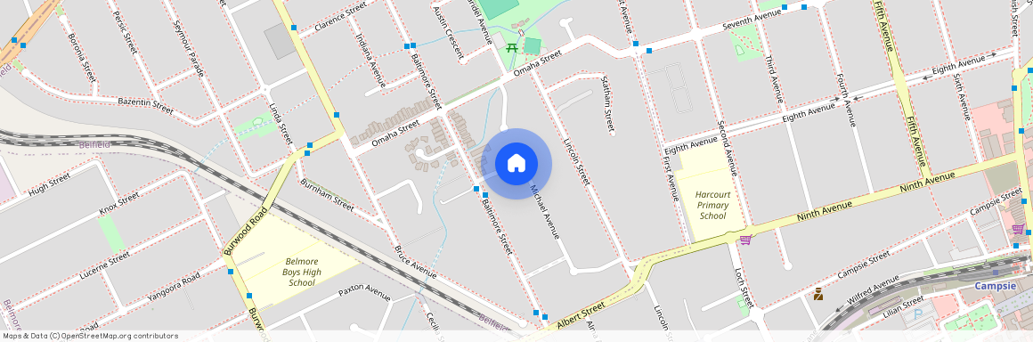 5 Michael Avenue, NSW 2191, Belfield