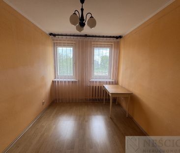 Siedlce - Zdjęcie 5