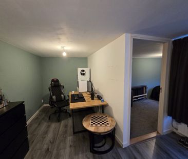 Zeer ruime kamer Oude Vlietweg ( Rijnsburg ) - Photo 3