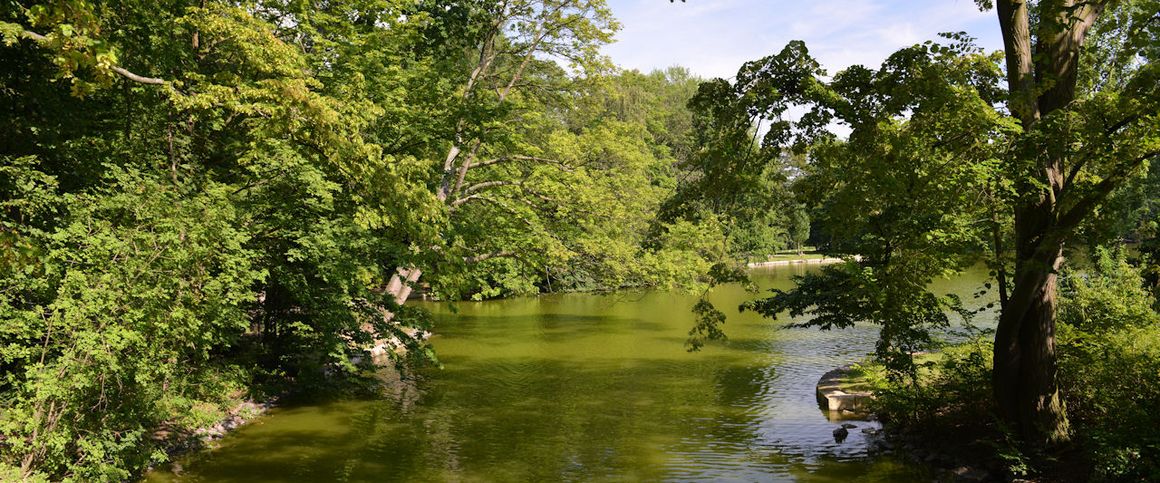 Small but Cool - Design-Apartment im begehrten Lindenthal - Photo 1