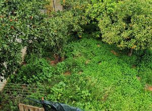 Μονοκατοικία για ενοικίαση - Κόρινθος, - Photo 2