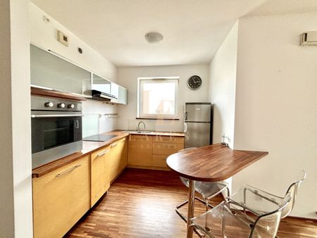 Metra Stokłosy | Balkon | Akceptowane zwierzęta - Фото 3