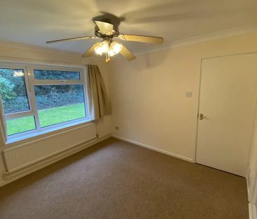 Palmer Drive - Photo 3