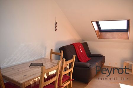 Location Appartement 1 pièce 18m² BOLQUERE 66210 - Photo 2