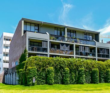 3/18 Purkis Street, Camperdown NSW 2050 - Apartment For Rent | Domain - Photo 6