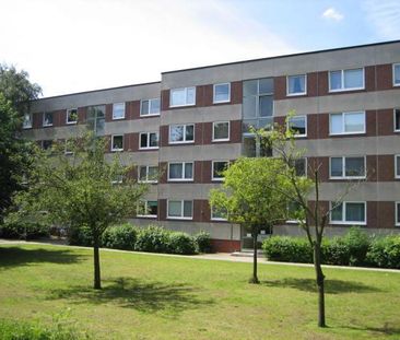 Ellerndamm 24, 25335 Elmshorn OT Nord - Photo 4