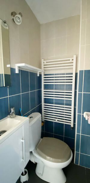 Location Appartement 1 pièce 15m² SULLY SUR LOIRE 45600 - Photo 1