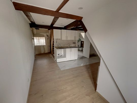 Location Appartement 1 pièce 22m² SELESTAT 67600 - Photo 1