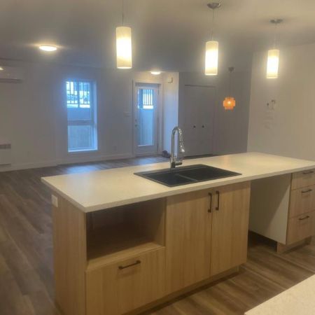 3 CH - 2 SDB - Waterloo - $1,550 /mo - Photo 3