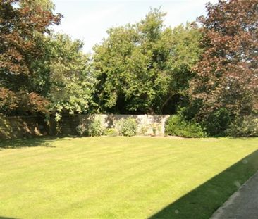 1 bedroom retirement property to rent - Photo 4