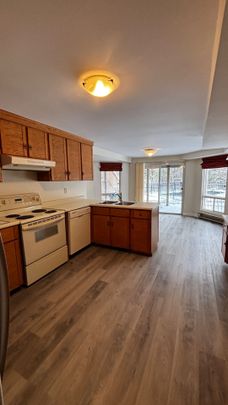 For Lease - 24 Cairns Drive Unit# WALK-OUT BASEMENT, Markham, Ontario - Photo 1