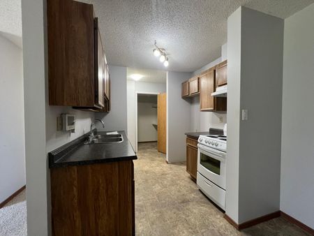 1 Bedroom Unit Across from Bower Mall! - Photo 2