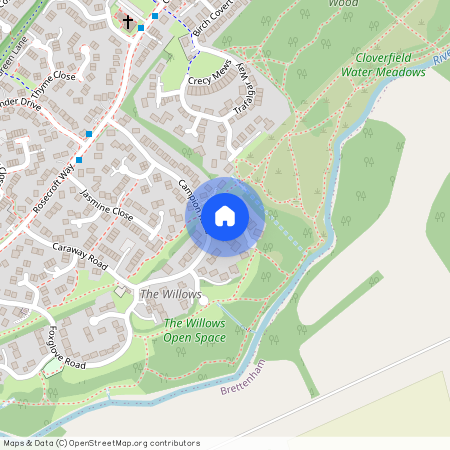 Harebell Close, Thetford, IP24