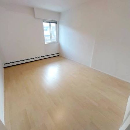 Kitsilano 1bdrm close to Kits beach - avail now - Photo 1