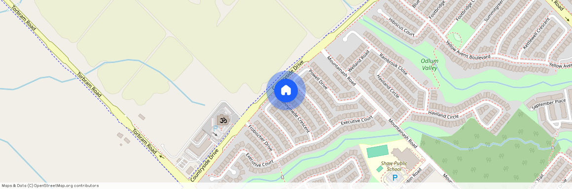 28 Runnymede Crescent Unit# Bsmt, Brampton