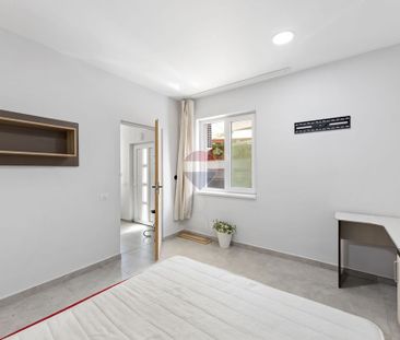Casă cu 3 camere de închiriat | Zona Boul Roșu | Arad - Photo 2