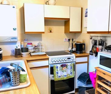 The Orchard - Photo 1