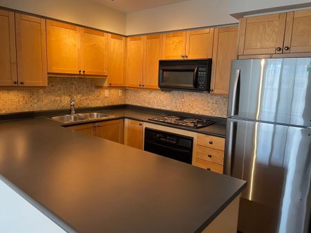 For Lease - 18 Stafford Street Unit# 1102, Toronto, Ontario - Photo 2