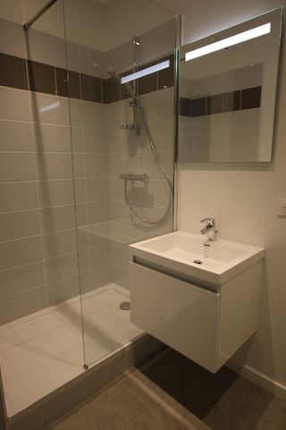 Location Appartement 1 pièce 41m² LILLE 59000 - Photo 3