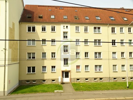 Ab ins neue Zuhause - Photo 1