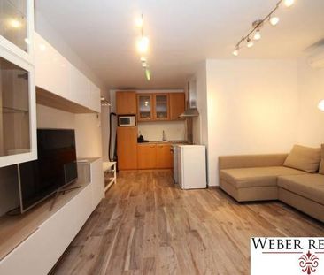 1-izb. komplet zariadený byt na Hradnom kopci, Lichardova ul., záhrada - Fotografia 2