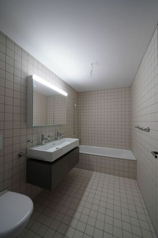 Atelier-Wohnung im suburbanen Schweighofquartier - Photo 5
