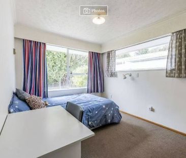 Upper riccarton sunny 2 bedroom house - Photo 4