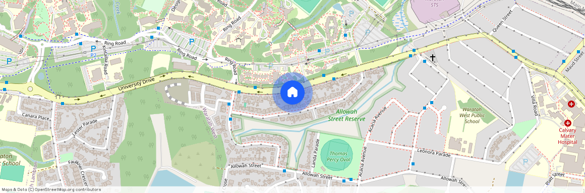 41A University Drive, NSW 2298, Waratah West