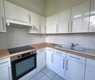 Location Appartement 1 pièce 30m² - Photo 4