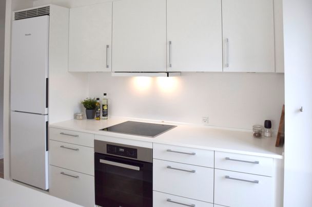 Blumersgade 1, 3.sal. Lejl. 1 - Photo 1