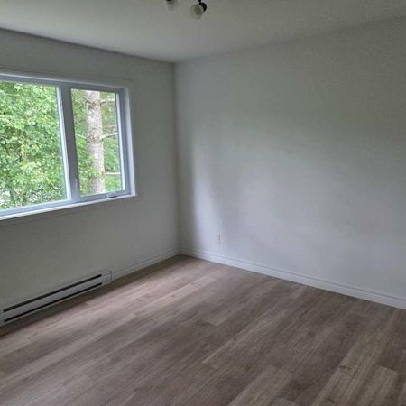 Appartement à louer 4 1/2 Sainte-Catherine-de-la-Jacques-Cartier - Photo 4