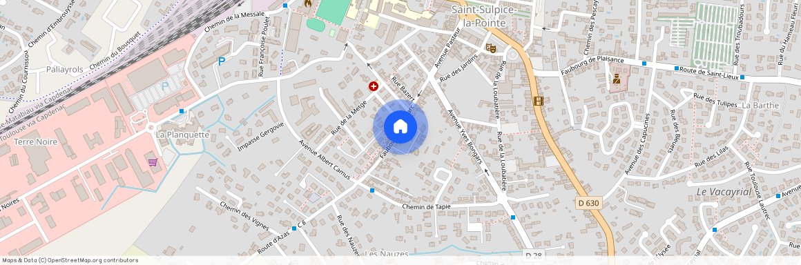 Saint-Sulpice-la-Pointe, 81370