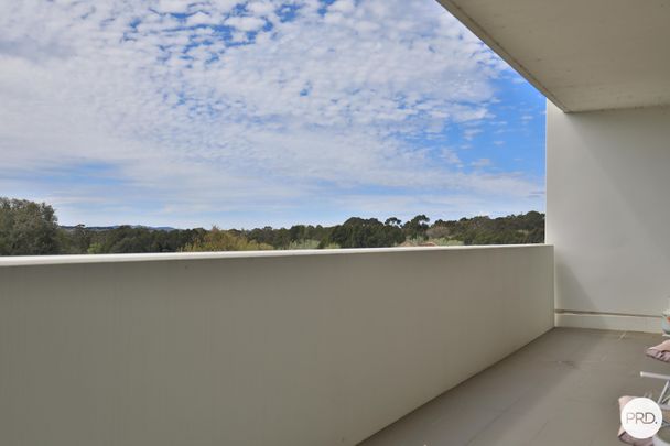 11/35 Chandler Street, Belconnen ACT 2617 - Apartment For Rent - $600 | Domain - Photo 1