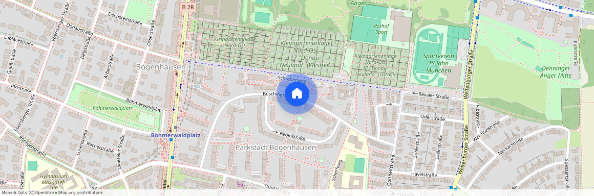 Buschingstraße, 81677 München