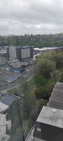 Central Auckland one bedroom apartment with pool! - Photo 3