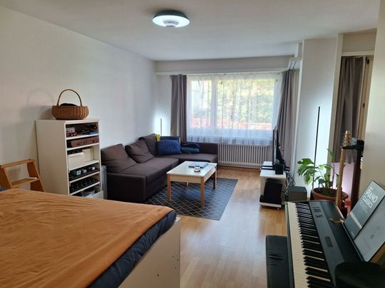 Helle grosszügige Wohnung in Zürich-Altstetten - Foto 1