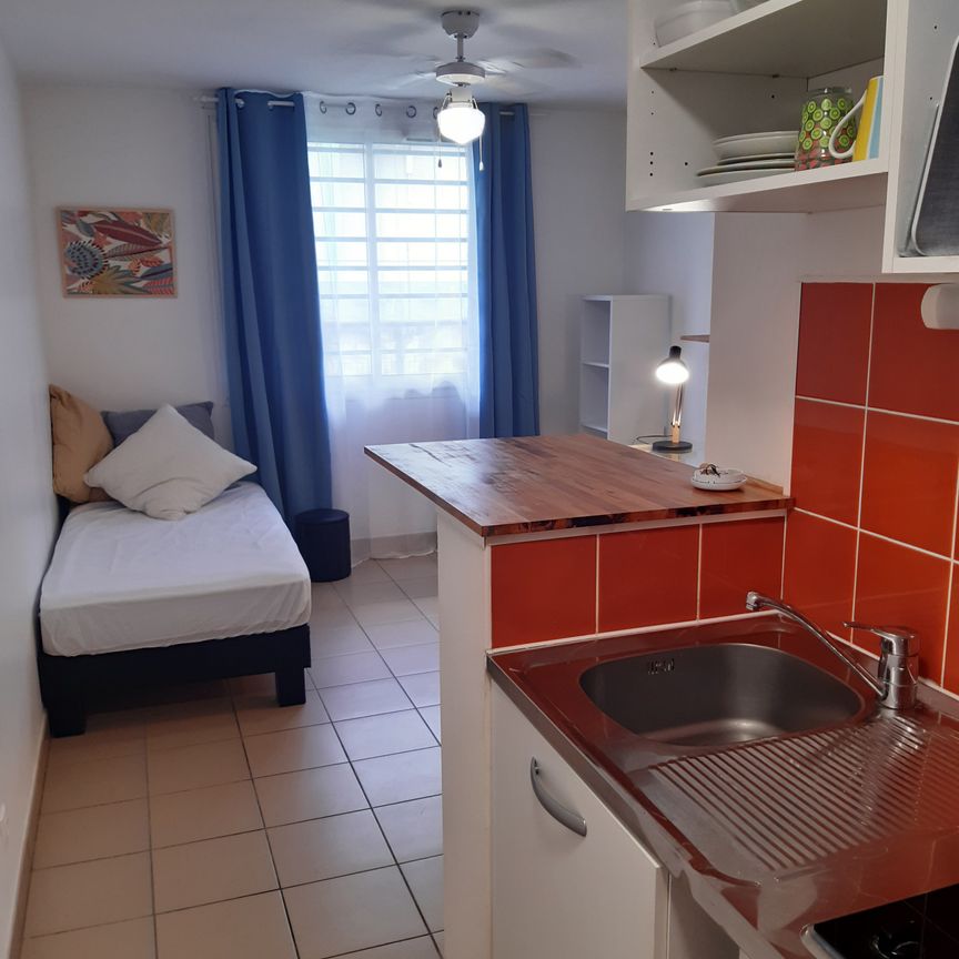 Location Appartement 1 pièce 20m² ST PIERRE 97410 - Photo 1