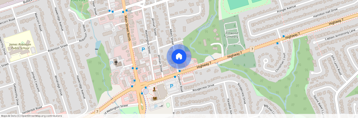 9 Albert Newell Drive, Markham