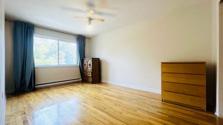 885 55e Avenue Montréal (Lachine), QC H8T - Photo 5